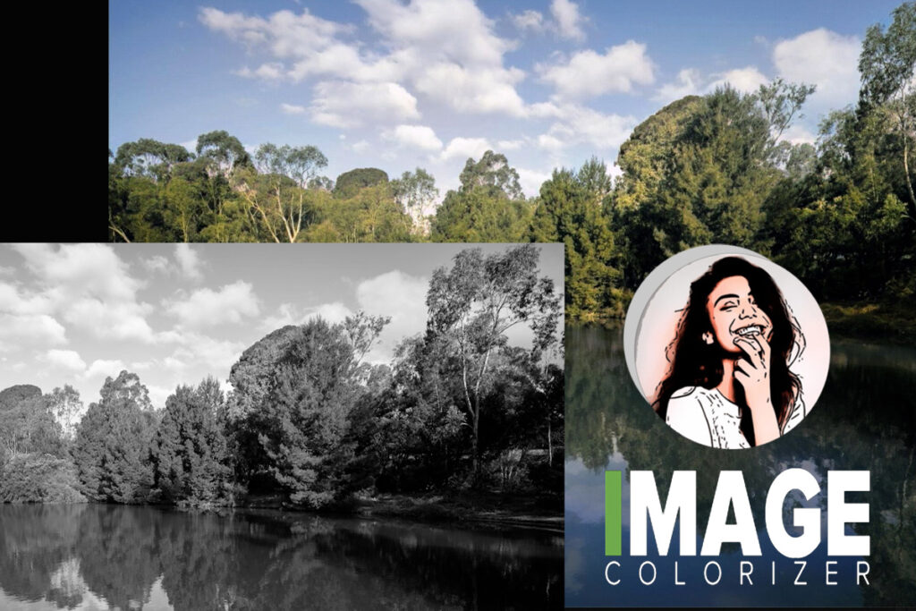 Imagecolorizer Review